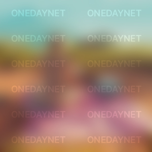 나홀로