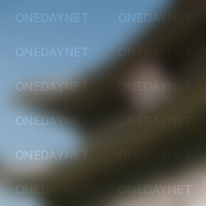대한민국 축제
