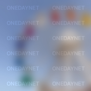 반값 할인